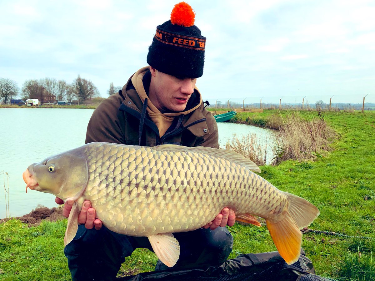 darrowfarm's tweet photo. The 3 big commons stocked into Darrow Farm somehow escaped without being netted. But... if there anything like this one, which was stocked in Dec17 at 17+ and now at 25+. We should have 3 30’s already swimming in the lake. https://t.co/yT0ggKgTMi