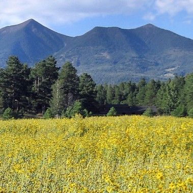 AmericanTrainV's tweet photo. #NationalPark #Vacations | #Amtrak #Vacations and #AmericasTrain. Get outside. These national parks make up the wildest, most beautiful landscapes in North #America. You could spend a lifetime exploring these #national #treasures! Read more => https://t.co/hAJDJsNhqz https://t.co/g0kiUsYsDs