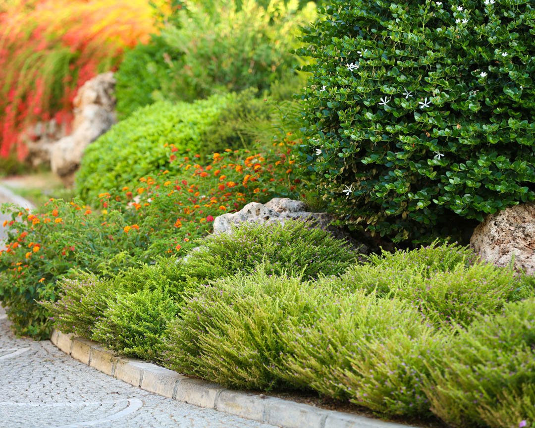 LawnBearded's tweet photo. We are proud of our #qualityservices we offer. Be sure to contact #TheBeardedLawnMan to get the highest quality service. Give Us A Call at # (404) 948-4786 today! #LawnCare #LawnService #LawnMowing #Conyers30013 https://t.co/d8Ygnppzwe https://t.co/rkZrogmAfa