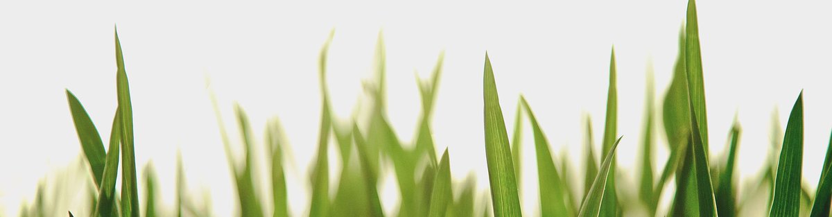 MultiplyMag1's tweet image. RT @richbirch: Churches of all sizes can grow. This is not simply a phenomenon for churches over 2000 people. Comment? ow.ly/JuIU30naba2