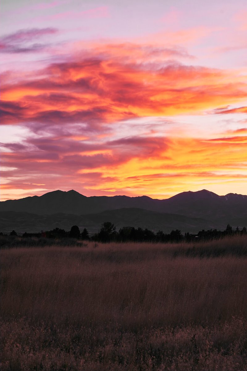 vsmarcuslewis's tweet image. Our lives are full of color. Do you have your canvas ready?

#randomwords #Manifest #GrowTheGame #GrownIsh #coloroftheyear #RAW #landscape