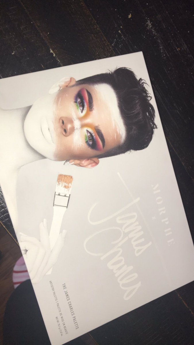Just got my palette! ❤️ <a href="/jamescharles/">James Charles</a>