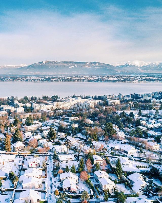 Mohamed Zohny tweet media