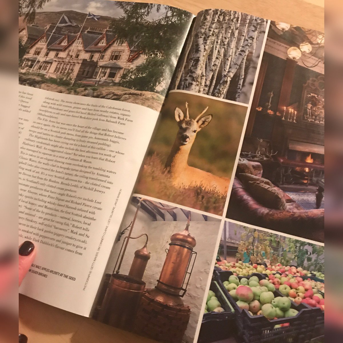 esker_spirits's tweet image. Royal Deeside love ❤️in this month’s @olivemagazine ! Great feature by @lucygillmore talking about eating and drinking like a king on our beautiful Royal Deeside; featuring #EskerSpirits and more local suppliers and producers. Have you seen a copy? #visitABDN