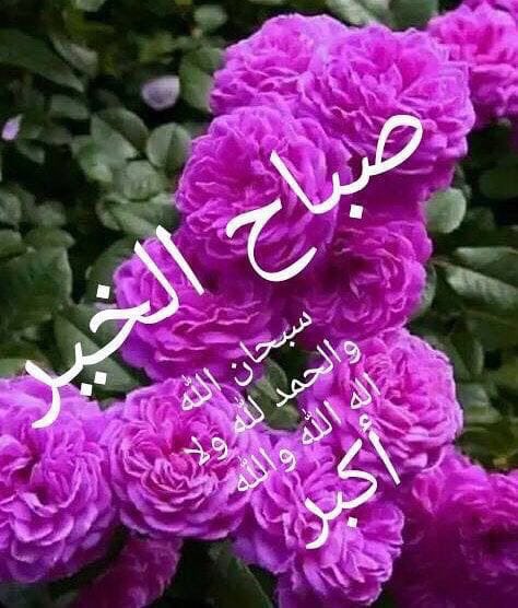 صباح الخير 
انا جيت  فيه احد اشتاق لي😂