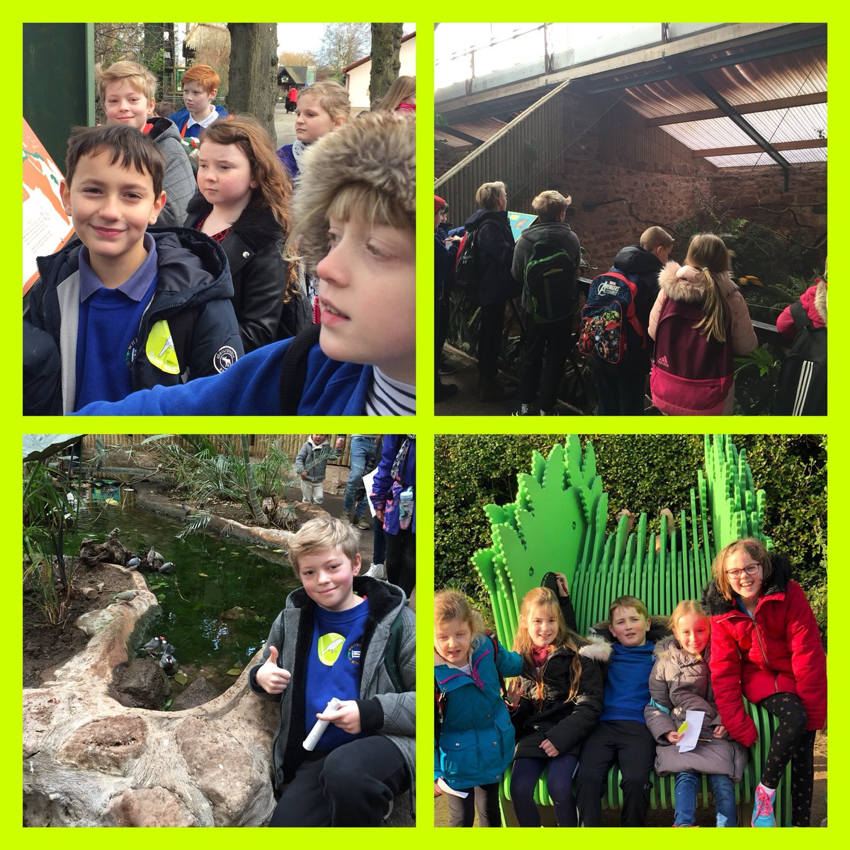 Willow had a fantastic day at <a href="/chesterzoo/">Chester Zoo</a>! We saw a 6.5 metre long python, two beautiful jaguars and much more. 🐢🐘🦁🐸🐧🦇🦋<a href="/headwhitegate/">Mrs Mackenzie</a>