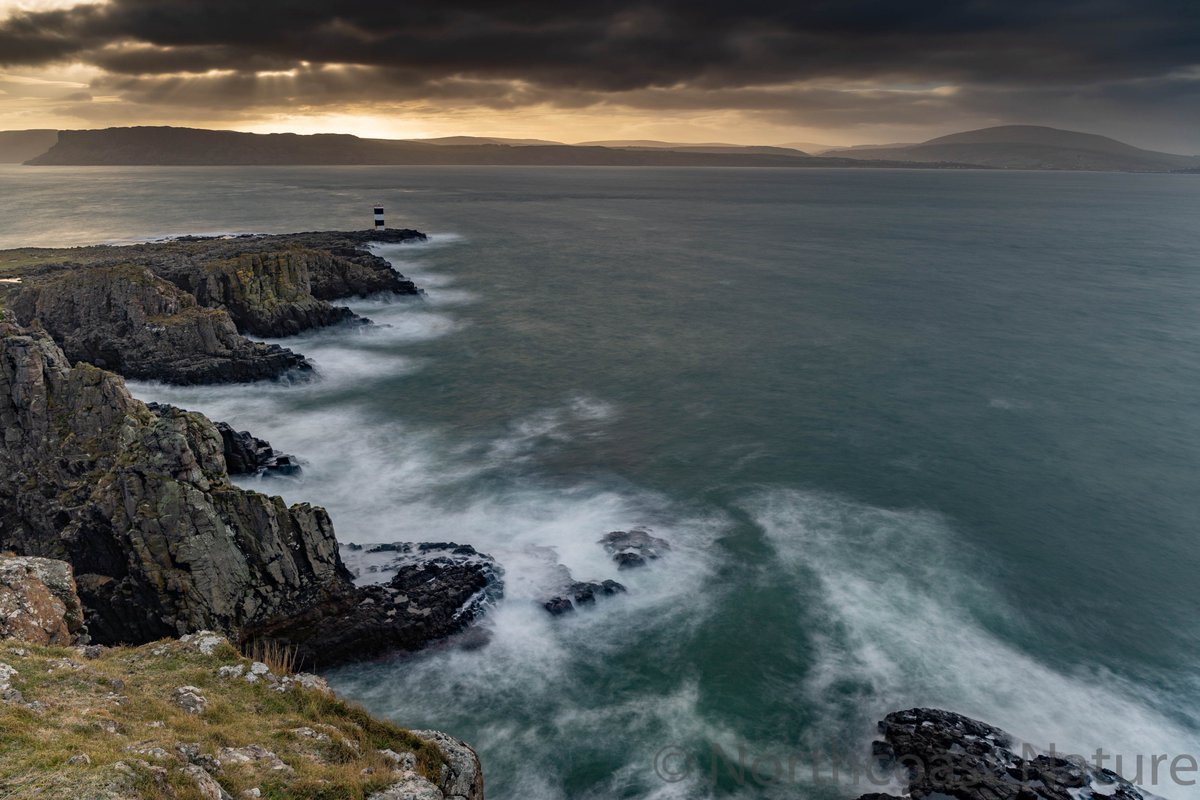 Northcoast Nature (@ncoastnature1) on Twitter photo Rathlin Co Antrim. Over-looking The Sea Of Moyle. <a href="/RathlinFerry/">Rathlin Island Ferry</a> @natureofrathlin <a href="/Rita_utv/">Rita Fitzgerald</a> <a href="/VisitCauseway/">Visit Causeway Coast & Glens</a> <a href="/CausewayGlens/">Causeway Coast&Glens</a> @saramoore_utv <a href="/CanonUKandIE/">Canon UK and Ireland</a> @NatGeoMag <a href="/frances_black/">Frances Black</a> @MaryBlackSinger <a href="/MargotMcCuaig/">Margot McCuaig</a> <a href="/TVconormac/">conor macauley</a> <a href="/RathlinIsland/">Michael Cecil OBE</a> Rathlin Co Antrim. Over-looking The Sea Of Moyle. <a href="/RathlinFerry/">Rathlin Island Ferry</a> @natureofrathlin <a href="/Rita_utv/">Rita Fitzgerald</a> <a href="/VisitCauseway/">Visit Causeway Coast & Glens</a> <a href="/CausewayGlens/">Causeway Coast&Glens</a> @saramoore_utv <a href="/CanonUKandIE/">Canon UK and Ireland</a> @NatGeoMag <a href="/frances_black/">Frances Black</a> @MaryBlackSinger <a href="/MargotMcCuaig/">Margot McCuaig</a> <a href="/TVconormac/">conor macauley</a> <a href="/RathlinIsland/">Michael Cecil OBE</a>