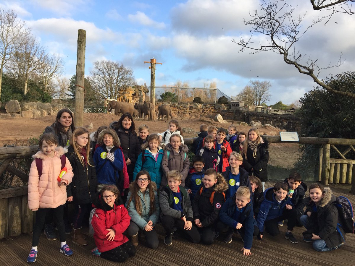 WhitegateWillow tweet media