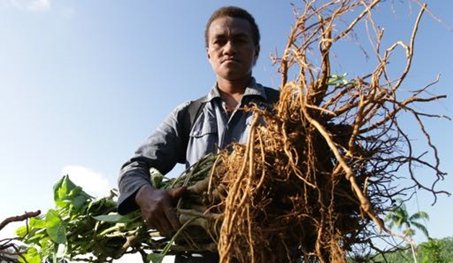Farm road project in #Fiji is an example of risk informed community development. Access 2 market &amp; income remains intact despite effects of natural hazards. Lessons learned from #Nasolo farm road sees risk screening adopted in national planning projects. bit.ly/2rr76lo