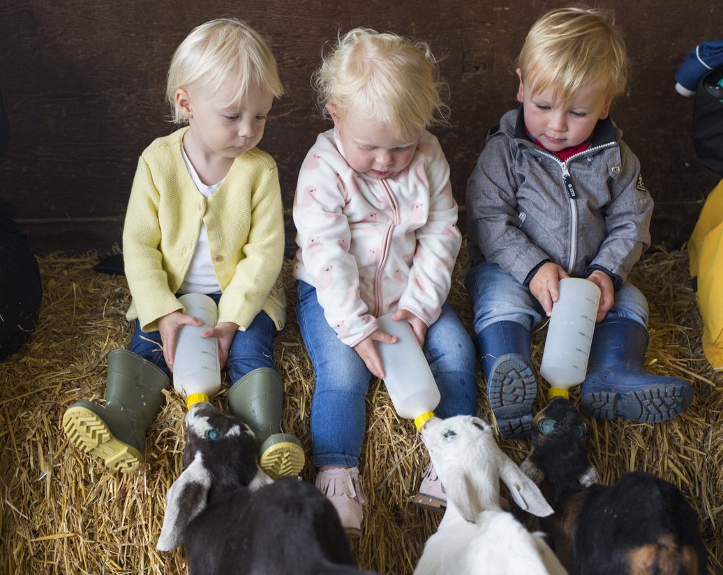 LongdownFarm's tweet photo. LIMITED SPECIAL OFFER ON 2019 SEASON TICKETS - save £15.00 on single tickets and £25.00 on family tickets. 
E.g - Child £39.00 (Save £15.00 - usually £54.00). Don't miss out. 
Click here to buy: https://t.co/x4jfUoB3kL…/2019-season-tickets/ https://t.co/0SMoeHNloM