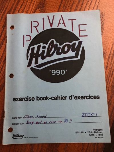 Mona Andrei tweet media