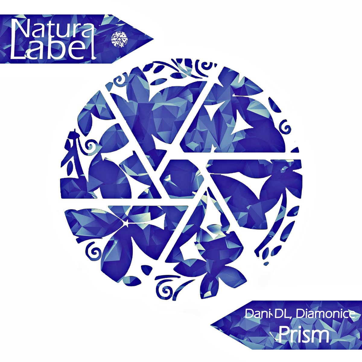 Artist: Dani DL, Diamonice
Title: Prism
Catalog: NR76

#housemusic #techhouse #deephouse #naturalabel