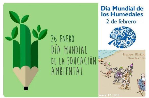 Resultado de imagen para EDUCACION AMBIENTAL
