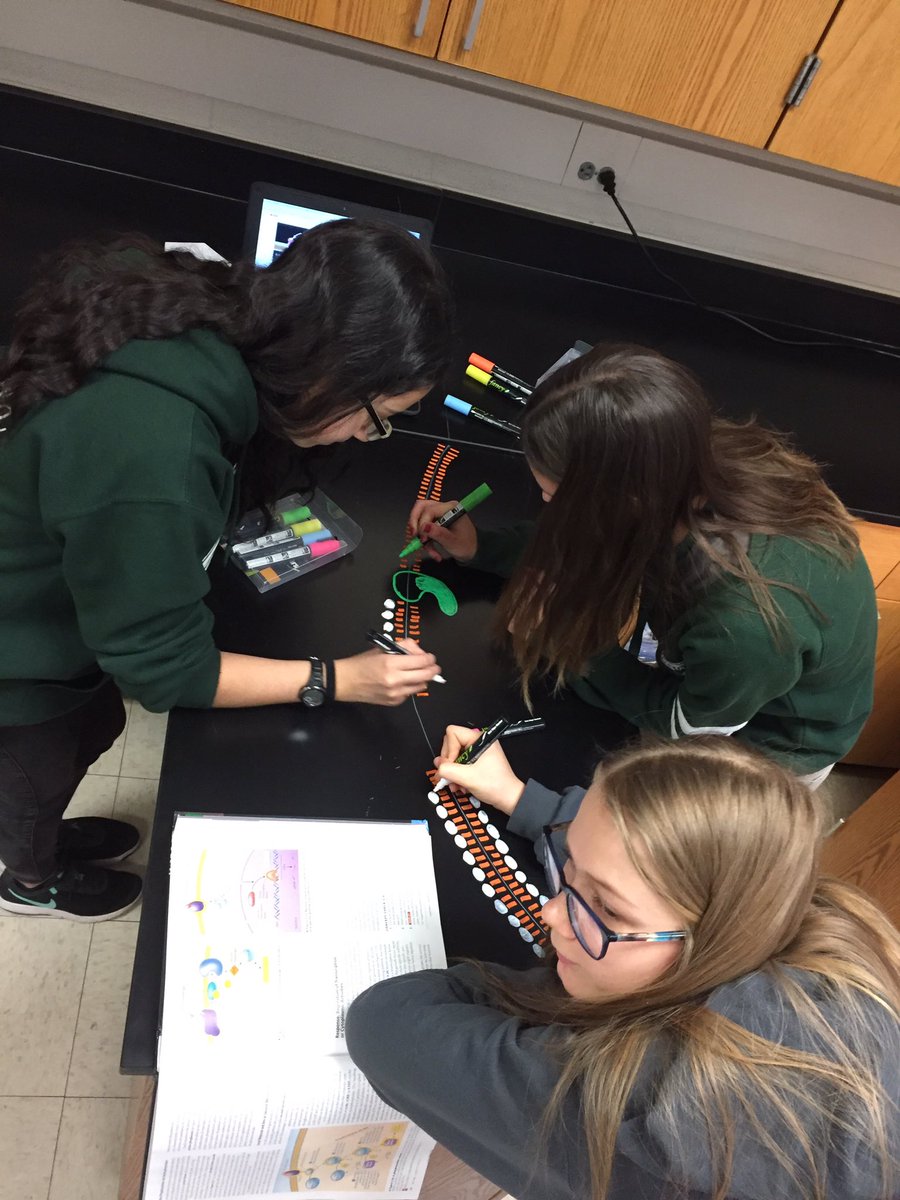 sciolydan's tweet photo. AP Bio back at it! Cell signaling review before diving into the nervous system. #bioiscool #apbiology @apbiology @WHSOilers https://t.co/AMPmYdGfJs