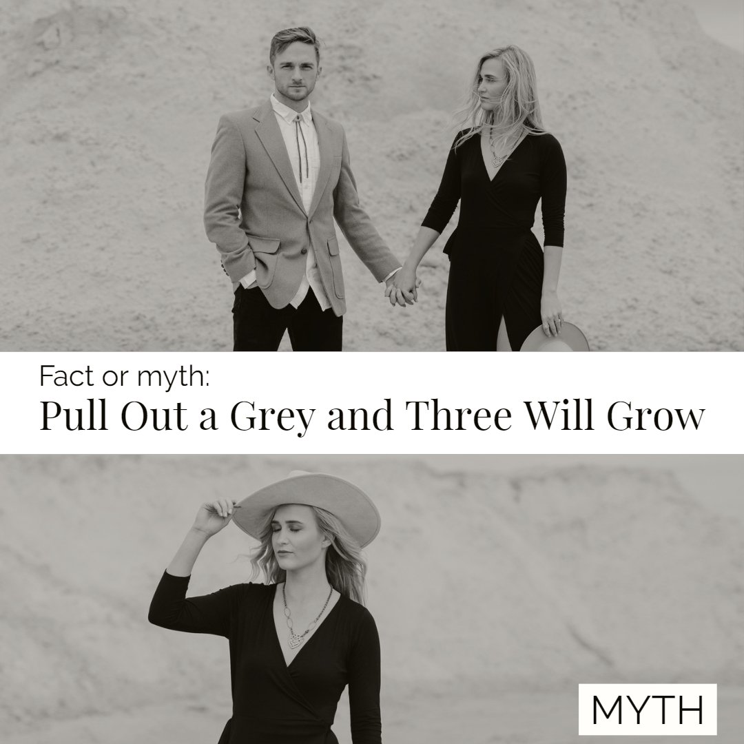 holthaircenter's tweet photo. Don't worry, pulling out a grey before date night shouldn't cause any significant problems. https://t.co/ws9qkfJC26