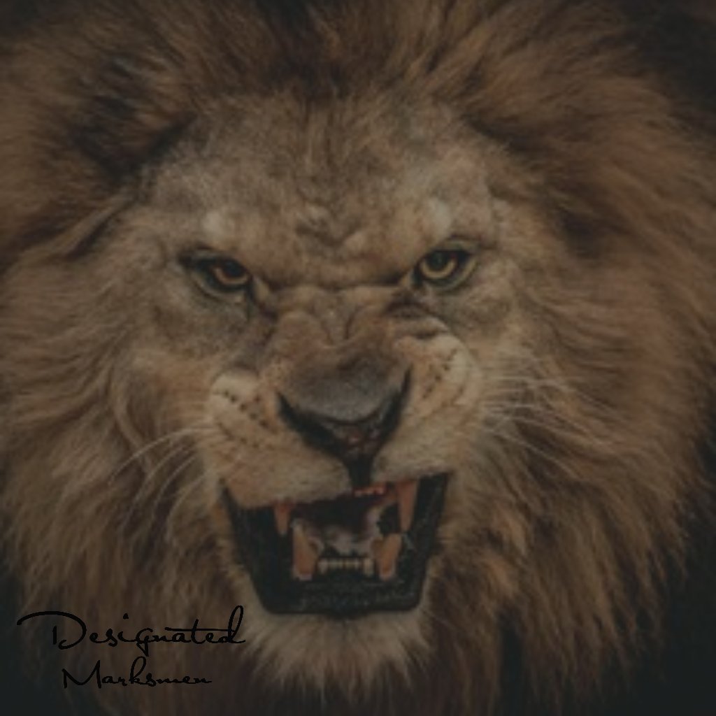 DesignatedMC's tweet photo. BE THE LION... That is all. https://t.co/MjlhkbSHpb