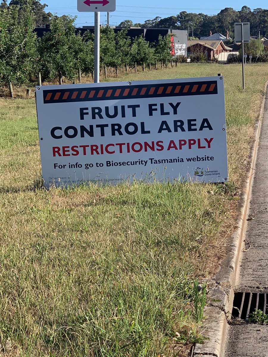 After 350 of the longest days imaginable, signs can be packed away. We have been declared fruit fly free. Let’s hope they never need to be used again. Thanks to all involved