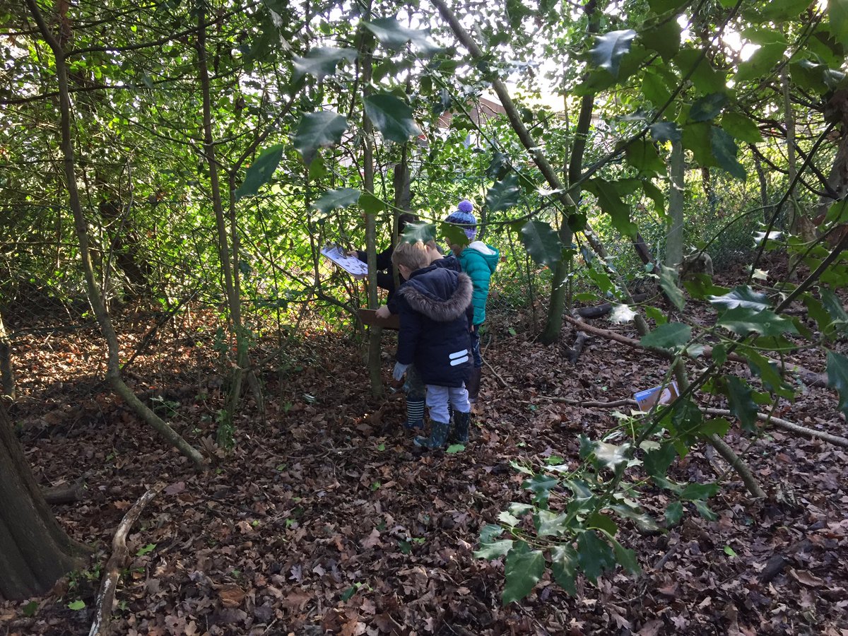 GorseyFS's tweet photo. Year 1 Bird Spotters. How many birds can you identify? #gorseyfs #gorseyscience https://t.co/QaKqLmEABy