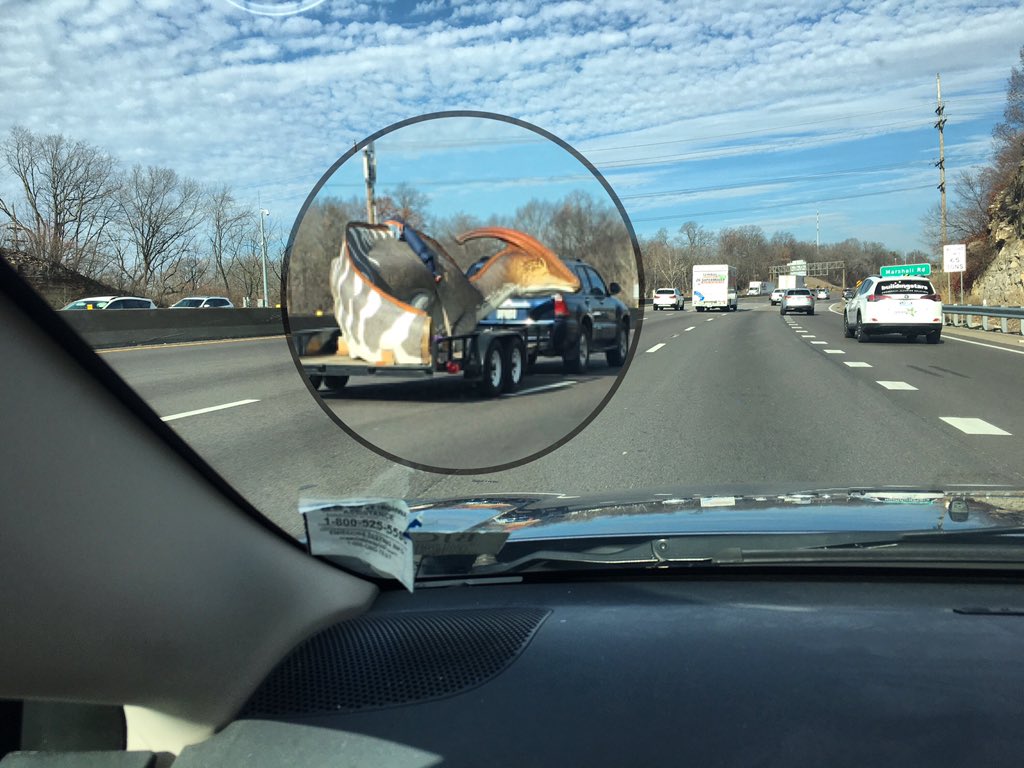 goolander91's tweet photo. Ahhh Dinosaur on wheels! ๐ ๐ฆ #dinosaur seen on interstate 270 northbound #dinosauronwheels ๐ฆ #stl #stlouis #stlgram #stlouisgram #interstate270 #missouri ๐ธ by @librarypatti https://t.co/l39KhfRsEu