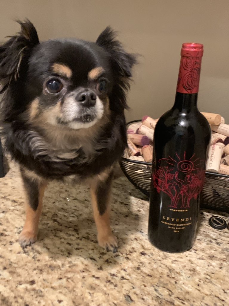 <a href="/CaraMiaSG/">✨Cara Mia✨</a> <a href="/TheWiningHour/">Li Valentine</a> <a href="/winegal57/">winegal🍷💃🏻</a> <a href="/suziday123/">Suzi Day</a> <a href="/LoriMoreno/">#InfluencerMarketing Host</a> <a href="/SteveKubota/">Steve Kubota 🇨🇦</a> <a href="/always5star/">Always5Star</a> <a href="/Fiery01Red/">Michelle Williams</a> <a href="/CorksConcierge/">Corkscrew Concierge</a> <a href="/wineconcubine/">Sara M</a> <a href="/jflorez/">Joe Florez</a> <a href="/levendiwinery/">levendiwinery</a> Symphonia 2015 #NapaValley in my glass.  #wininghourchat