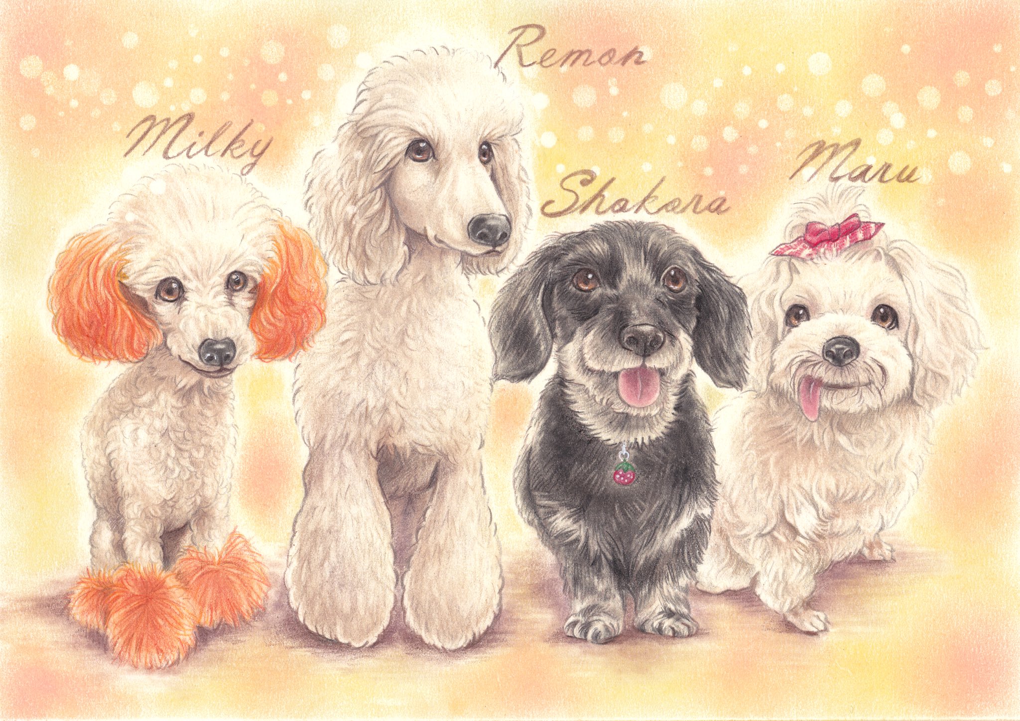 Junjun ペット似顔絵 どうぶつart Works ペット似顔絵 サイズ ほんわり温かい雰囲気の4匹ワンちゃんたち 左からトイプードル スタンダードプードル 黒のミックス マルチーズ 楽しいオーダーをありがとうございました パステルアート 動物