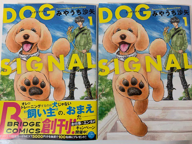 みやうち沙矢 Dog Signal1 5巻発売中 Saya Miyauchi さんのマンガ一覧 リツイート順 23ページ ツイコミ 仮