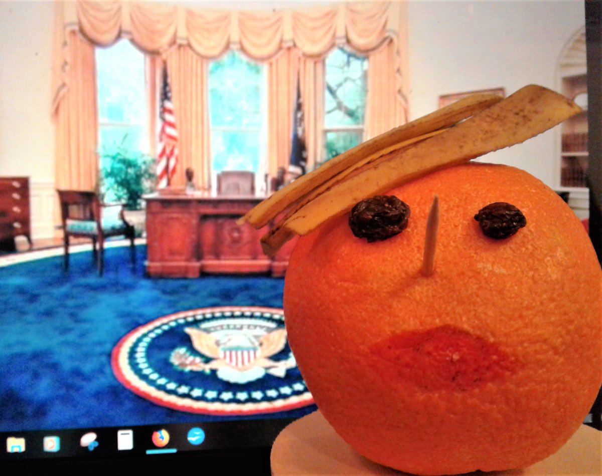 Quick, someone get a hold of in the #UnitedNations, the #UnitedStates is being held hostage! Here is an artist representation of the terrorist; he can be found at 1600 Pennsylvania Ave NW, Washington, DC 20500.
#GovernmentShutdown | #Trumpocalypse