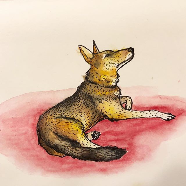 sdegetau's tweet photo. Quicky watercolor.
.
.
.
.
.
#watercolor #quickysketch #noerasersallowed https://t.co/CA3SXJIceF https://t.co/ztqhRUuqyj