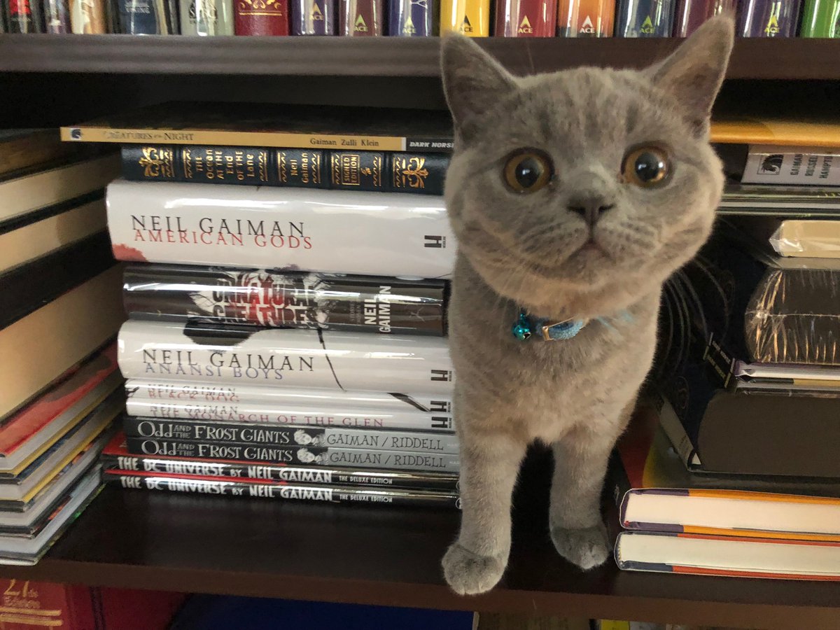 cskovacs's tweet photo. @SubPress @KatWithSword Shadow the kitten loves Neil Gaiman...and he edits medical textbooks too, for a fee.
#picsofmeowsandbarks https://t.co/S8jxd6e5G9