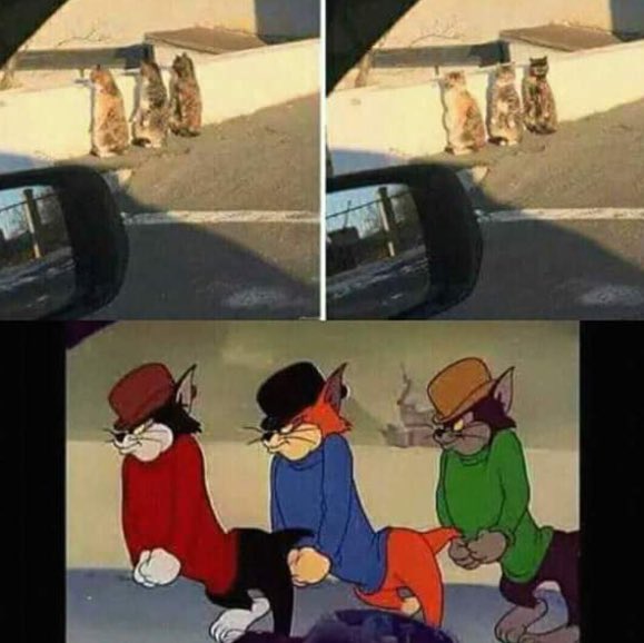 DwbCDBmX0AEjkGJ?format=jpg&name=small