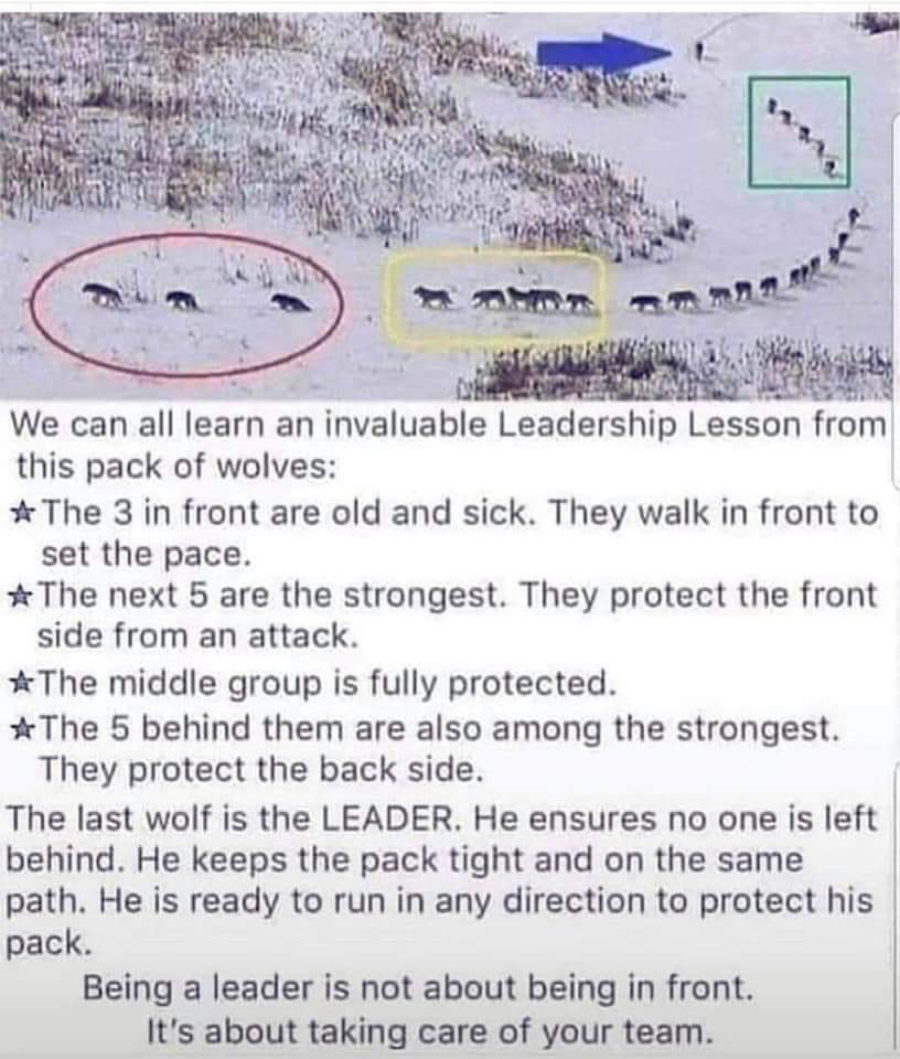 W42Events's tweet image. #eventprofs Guide, nurture, lead.