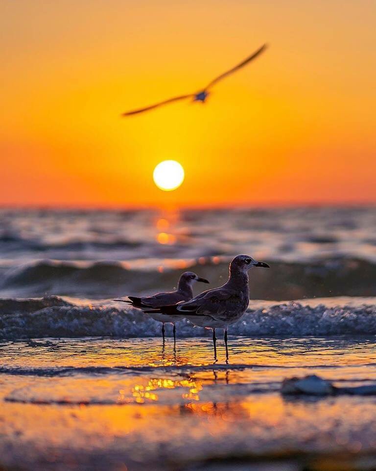 man_dares's tweet image. I&apos;ve never deleted anyone from my life.
At Best I just changed the places of honor.

- Cinella Micciani