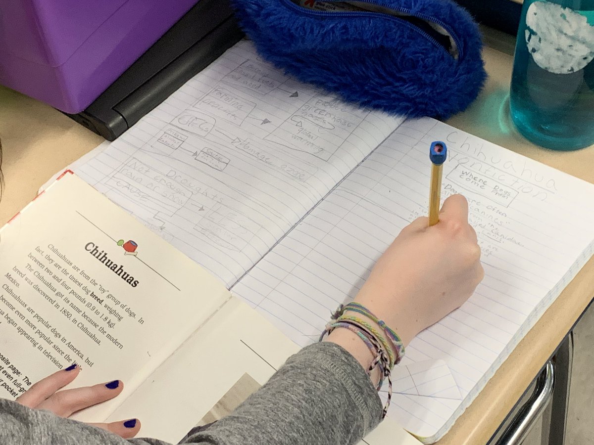 Winning4th's tweet image. Practicing determining what’s important and note taking by thinking about the text’s structure @TCRWP