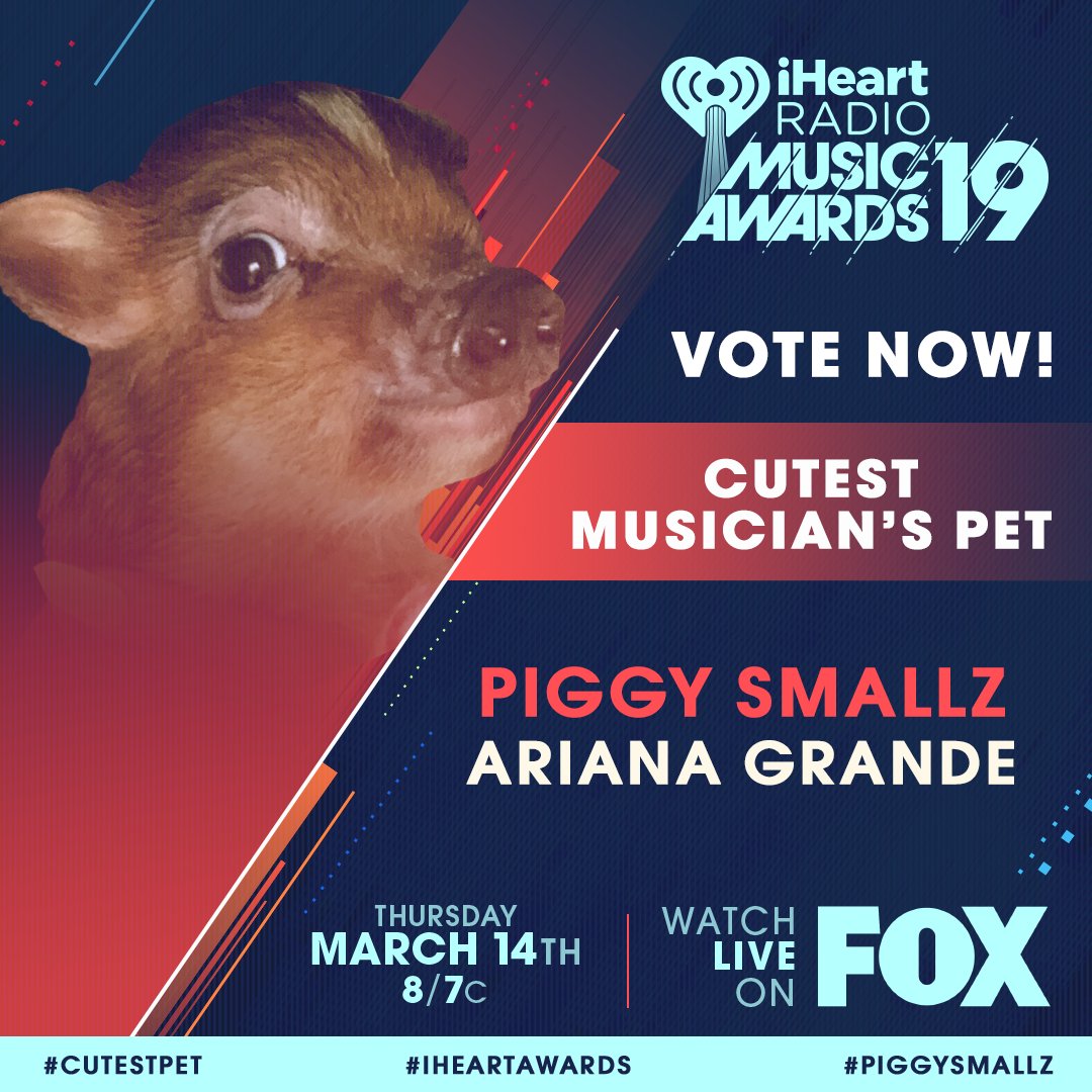 iHeartRadio tweet media
