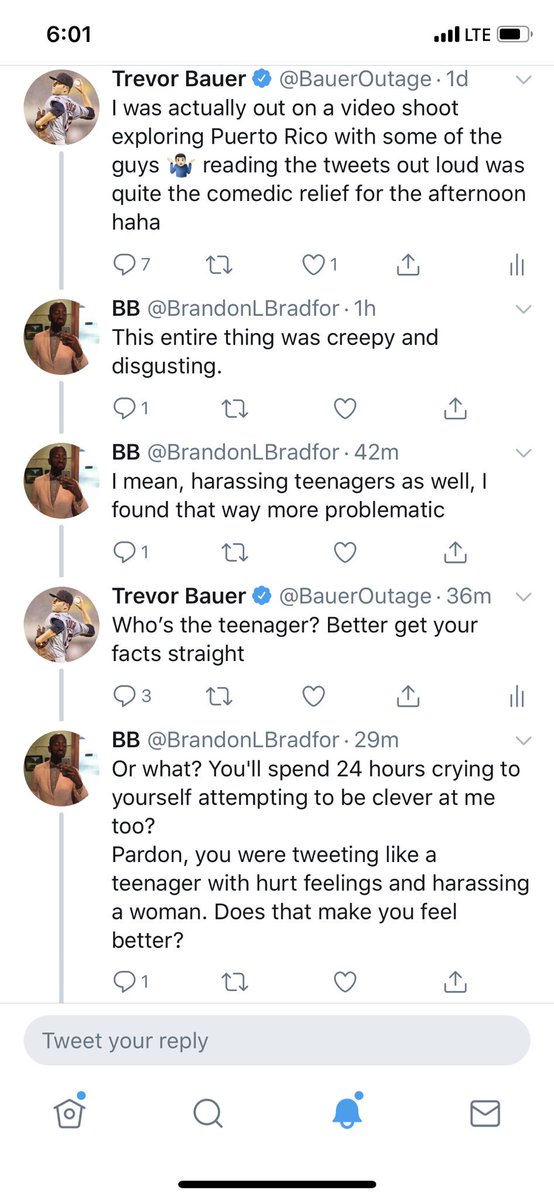 Bauer Bauer