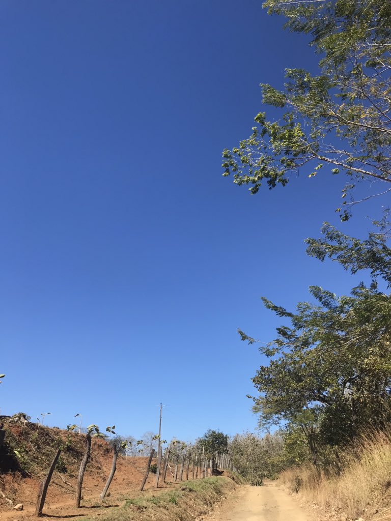 Spanishlearner4's tweet image. 中南米は主に夏と冬しか存在しないです。日本のイメージと違い、夏は要するに乾季、冬は雨季という感じで、12月から5月くらいまでが乾季です。標高と雨量で気温が変化するので、日本は北に行くほど寒くて…と説明してもあまり理解してもらえないです。つまり今日も超快晴です。