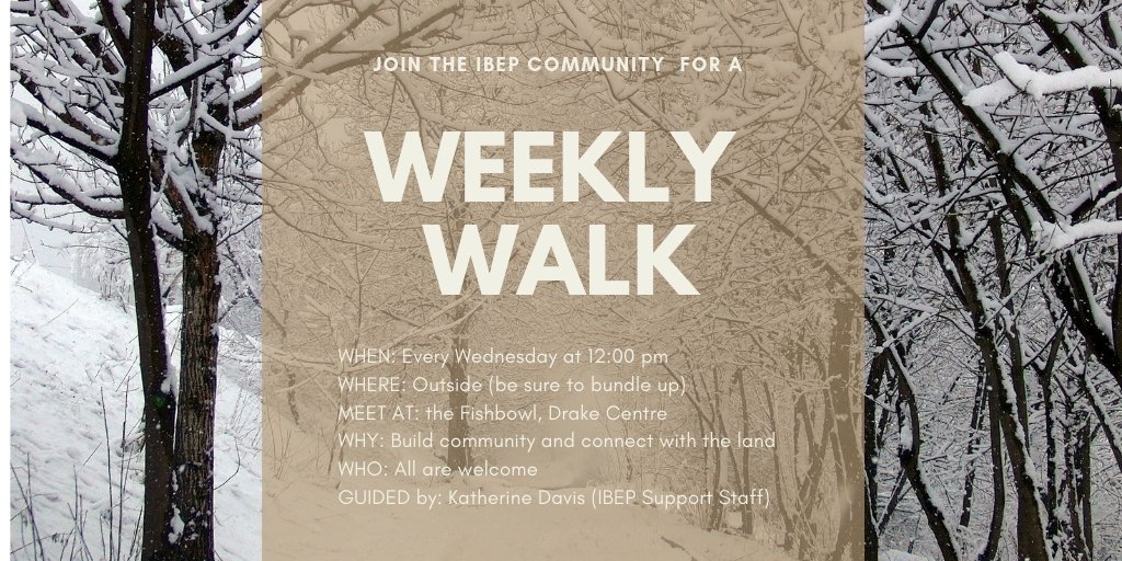 Join the IBEP community every Wednesday for a walk. Unwind and connect with the land. Bundle up and dress according to the weather! #landbasedlearning #community #ibep