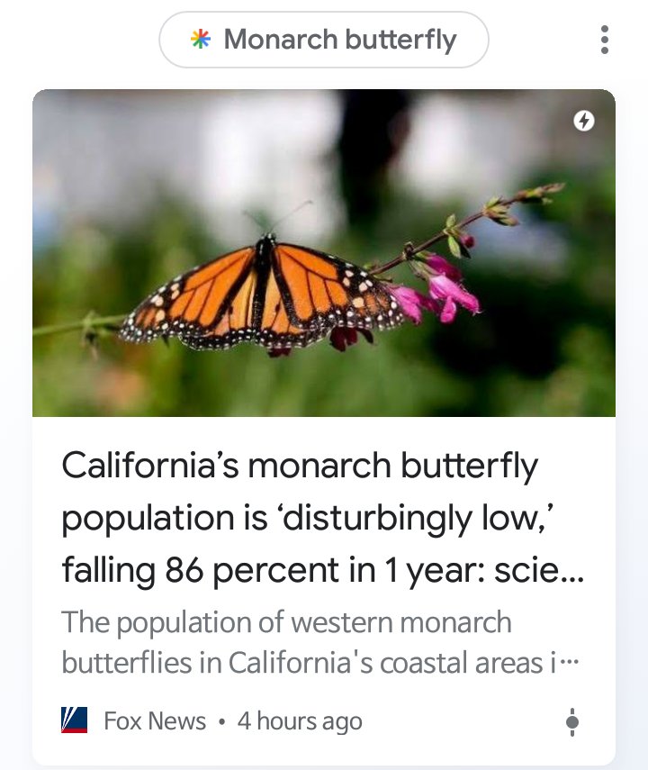 MonarchButterf7's tweet photo. @bio_otoole https://t.co/vBuVaRs7Bv