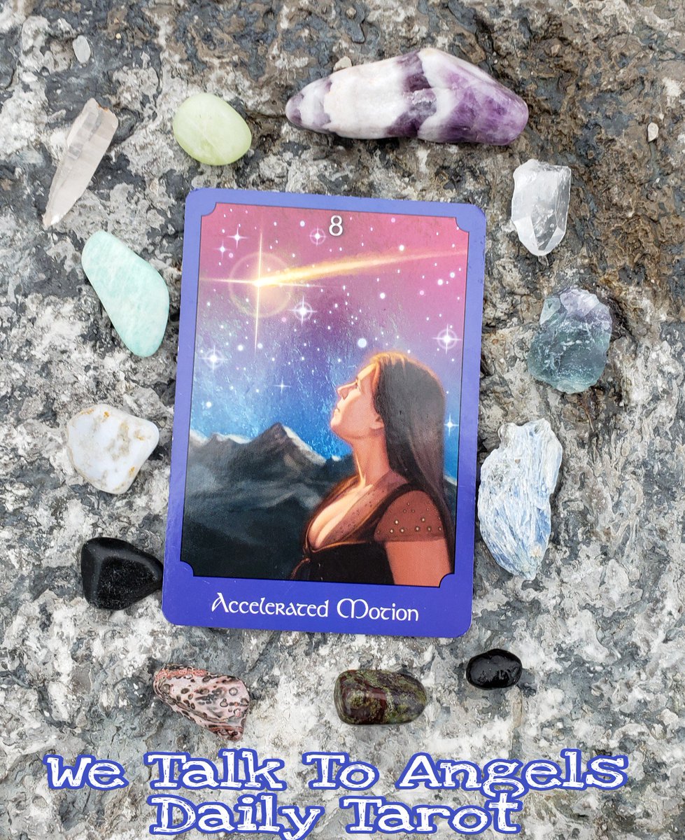 wetalktoangels's tweet photo. #cardoftheday #dailytarot #acceleratedmotion #eight #positivity #psychicabilities #dreambig #manifest #mediums #lightworkers #cardreaders #intuitive #oraclecards #meditate #yoga #tuesday #goals #2019  #thepsychictarotoracledeck #johnholland @jhollandmedium @Intrinsinite https://t.co/ha3IXuGLkl