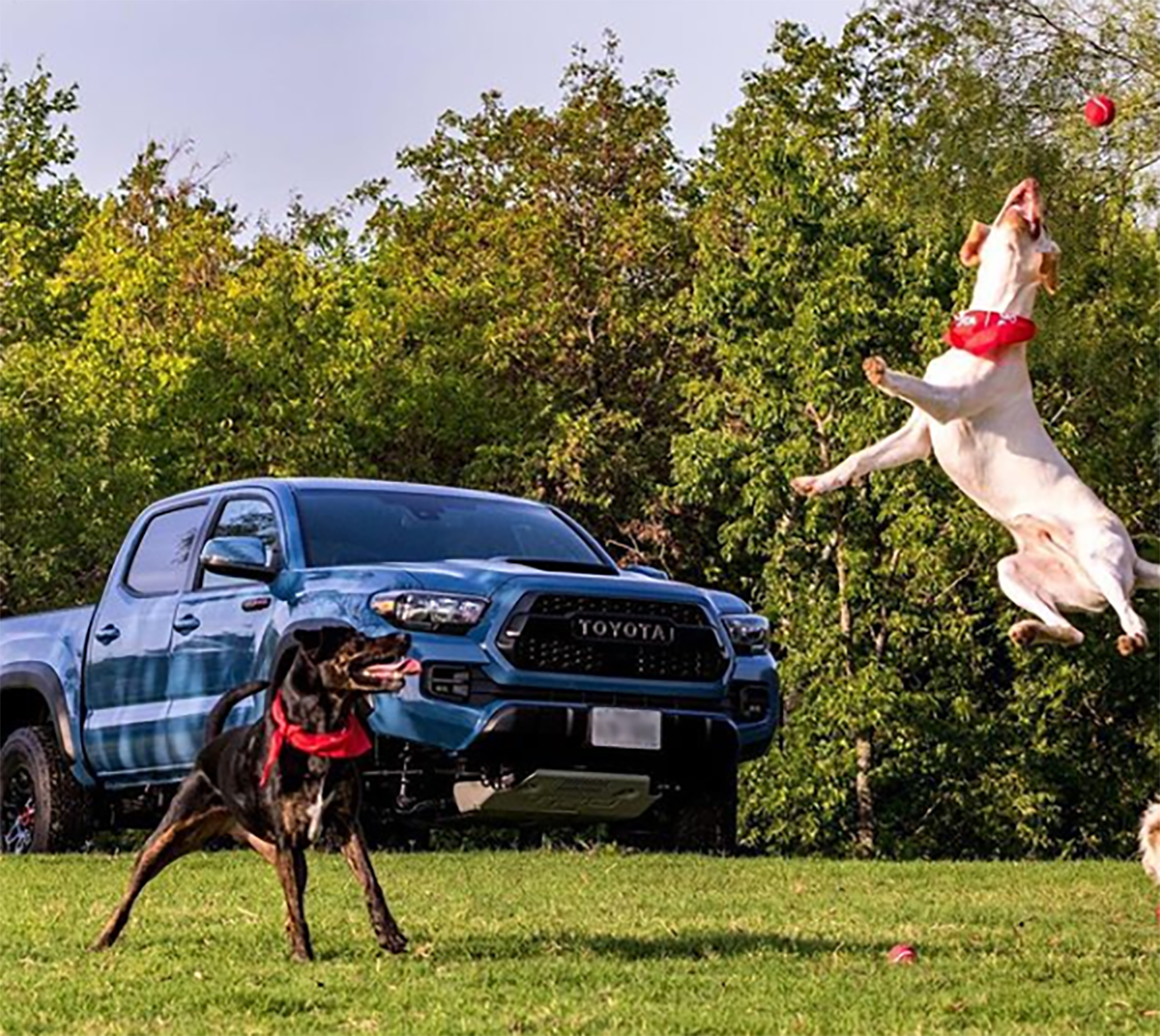 GrooveToyotaScion tweet media