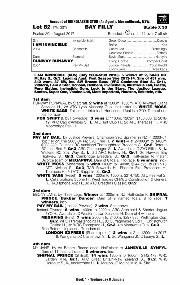 tonygollan's tweet photo. Gollan Racing, John Foote Bloodstock &amp; Blacksoil Bloodstock are delighted to have secured Lot 82 - I AM INVINCIBLE x RUNWAY RUNAWAY - a stunning bay filly from Edinglassie Stud for $600,000 at @mmsnippets. This filly is BOBS eligible. #GollanRacing #1stBuy #MagicMillions #BOBS https://t.co/1ofqekqsMe