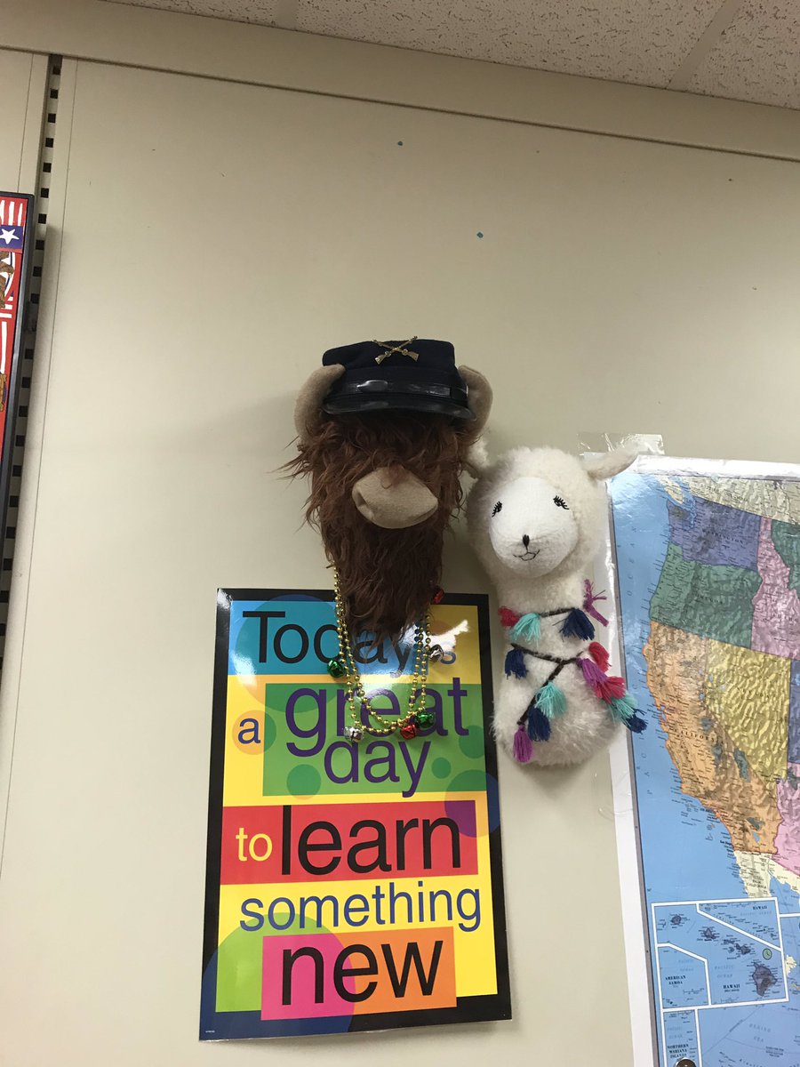 ethanmeints's tweet image. Long story short, Daryl the buffalo now has a friend. Some special students thought he was looking lonely... introducing Charolette the llama. #wearegrinnell #GMS