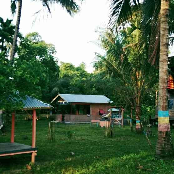 MWarnalyn's tweet photo. PANTAI MAMPIE &amp; RUMAH PENYU
Desa Galeso, Kecamatan Wonomulyo, Kabupaten Polewali Mandar, Sulawesi Barat.

#WonderfulIndonesia
#PesonaIndonesia
#Genpi 
#Genwi
#Genpisulbar
#Disparsulbar
#SahabatPenyu
#9RumahPenyu https://t.co/YDiKWLDD3Z