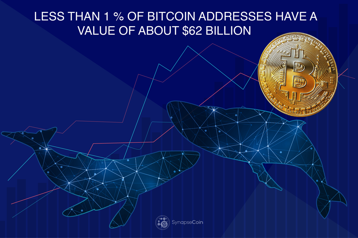 Synapsecoins tweet picture