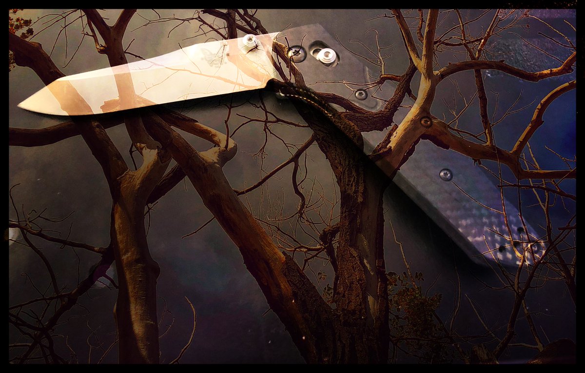 sebbie21's tweet photo. My newest best non human friend!  @BenchmadeKnives              Benchmade 940-1 https://t.co/sC6TDVQeYD