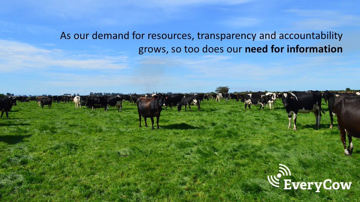 CfDENZ's tweet photo. #everycowanimalmonitoring https://t.co/GaZYqcfQyO