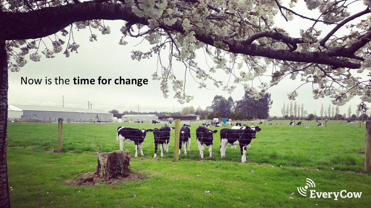 CfDENZ's tweet photo. #everycowanimalmonitoring https://t.co/xGaFB8M5Iq