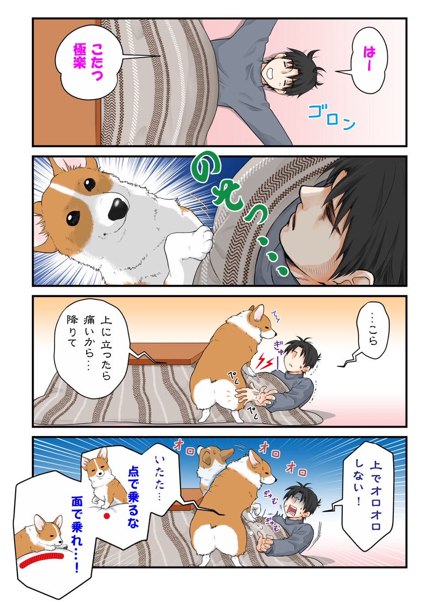 こたつで寝転ぶと... 