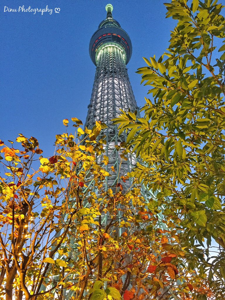 Tokyo Skytree #dinuphotography 

instagram.com/p/BsZRhbNBCN8/…