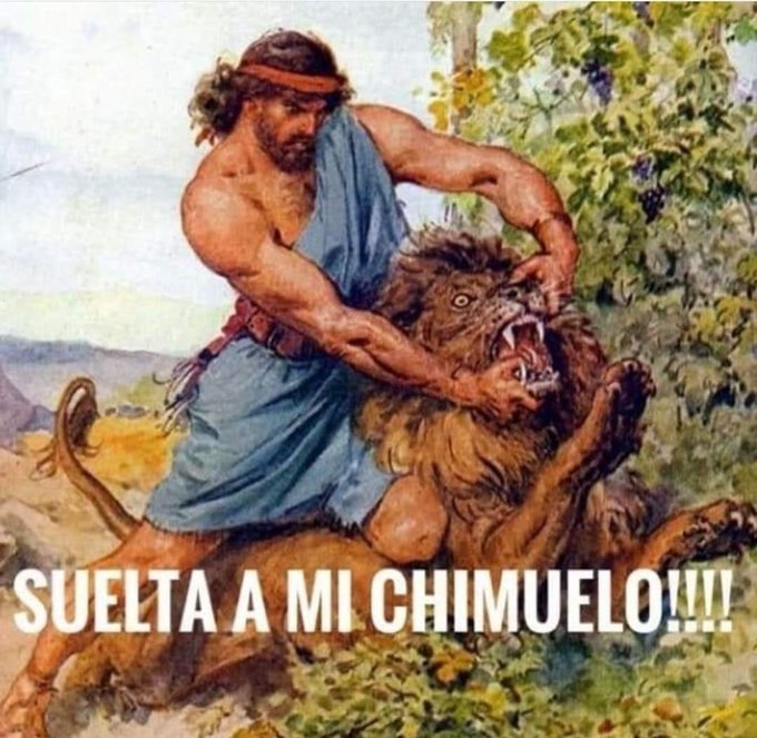 #chimuelo https://t.co/Ert1YyzDqx<a href="/tag/chimuelo"class="tags">#chimuelo</a>